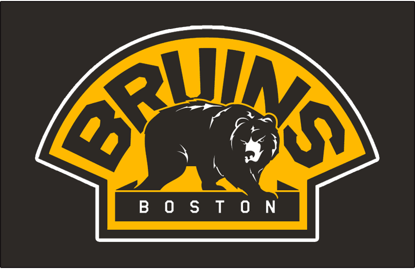 Boston Bruins 2008-2016 Jersey Logo fabric transfer